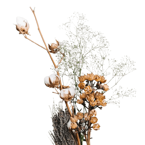 Bouquet de fleurs séchées