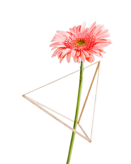 Composition de fleurs stabilisées